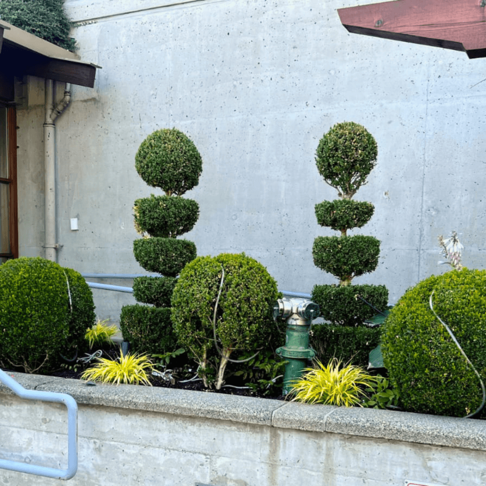 Seasonal planting bed